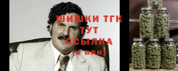 ешки Арсеньев