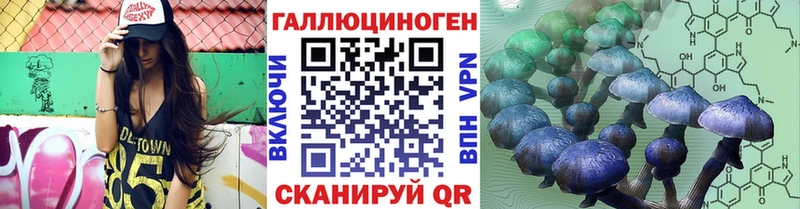 hydra ONION  Талица  Псилоцибиновые грибы Magic Shrooms 
