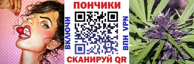 Бошки Шишки сатива  Талица 